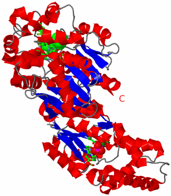 Image Asym. Unit - sites