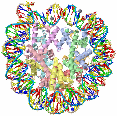 Image Asym./Biol. Unit