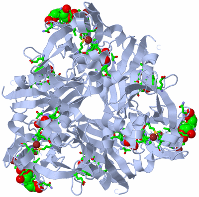 Image Biol. Unit 1 - sites