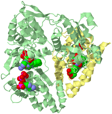 Image Biological Unit 2