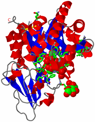 Image Asym./Biol. Unit - sites