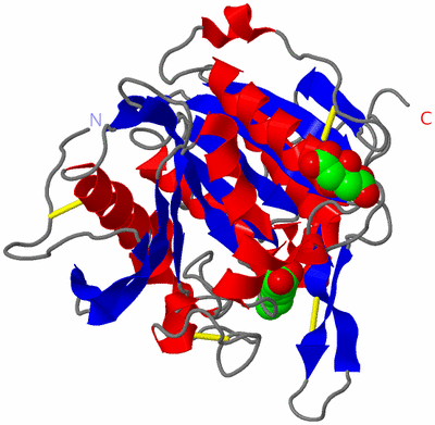 Image Asym./Biol. Unit