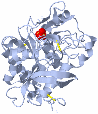 Image Biological Unit 1