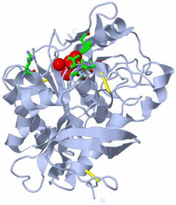 Image Biol. Unit 1 - sites