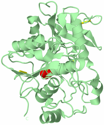 Image Biological Unit 2