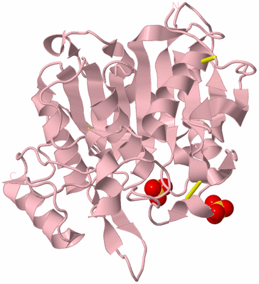 Image Biological Unit 3