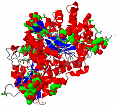 Image Asym./Biol. Unit - sites