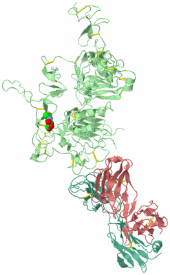 Image Biological Unit 2