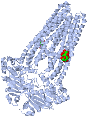 Image Biological Unit 2