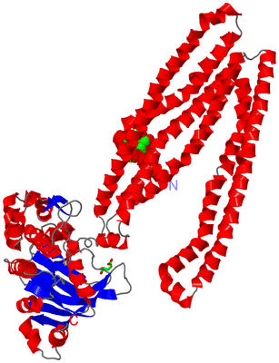 Image Asym. Unit - sites