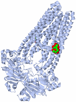 Image Biological Unit 2