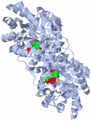 Image Biological Unit 1