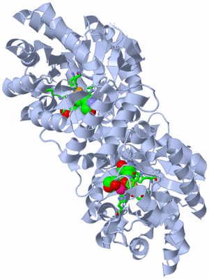 Image Biol. Unit 1 - sites