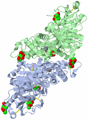 Image Asym./Biol. Unit