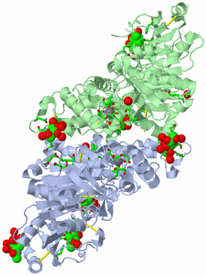 Image Asym./Biol. Unit - sites