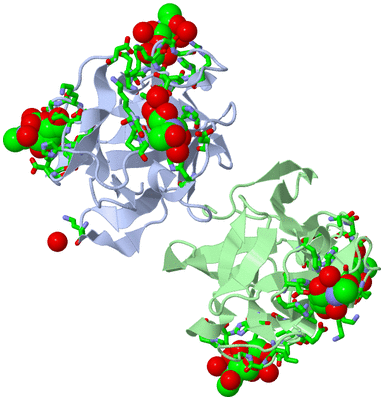 Image Asym./Biol. Unit - sites