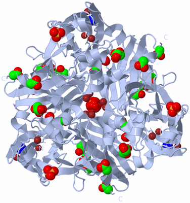 Image Biological Unit 1