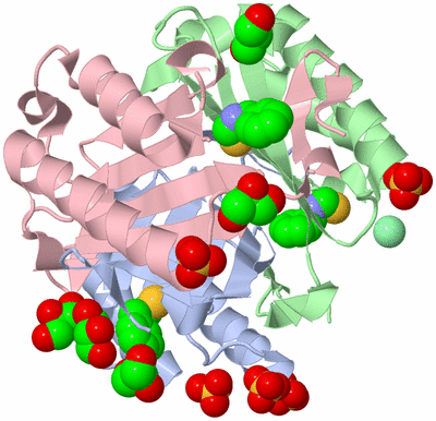 Image Asym./Biol. Unit