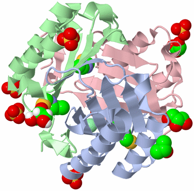 Image Asym./Biol. Unit