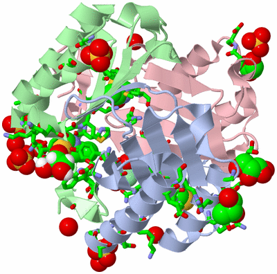 Image Asym./Biol. Unit - sites