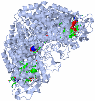 Image Biol. Unit 1 - sites