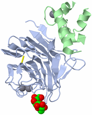 Image Asym./Biol. Unit