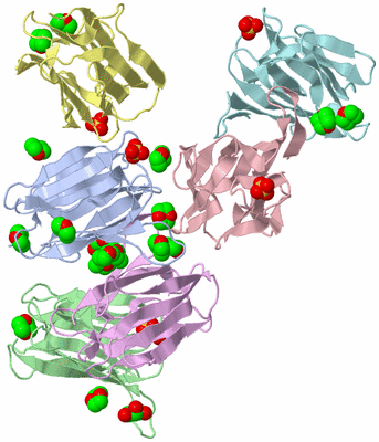 Image Asymmetric Unit