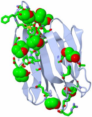 Image Biol. Unit 1 - sites