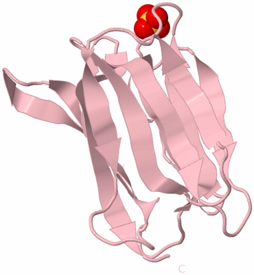 Image Biological Unit 3