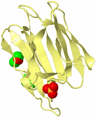 Image Biological Unit 4