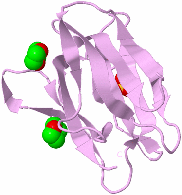 Image Biological Unit 5