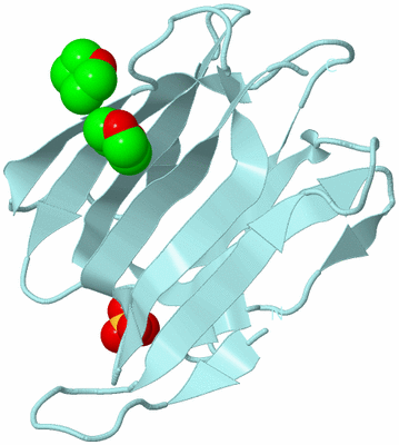 Image Biological Unit 6
