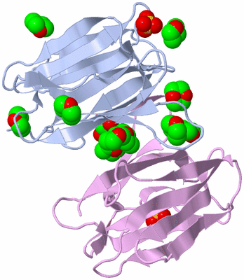 Image Biological Unit 7