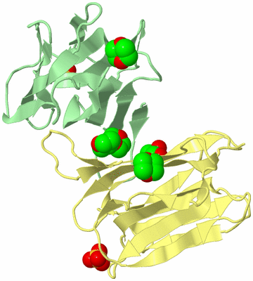 Image Biological Unit 8