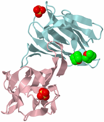 Image Biological Unit 9