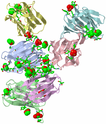 Image Asym. Unit - sites