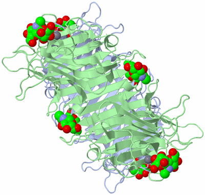 Image Biological Unit 1