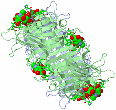 Image Biol. Unit 1 - sites