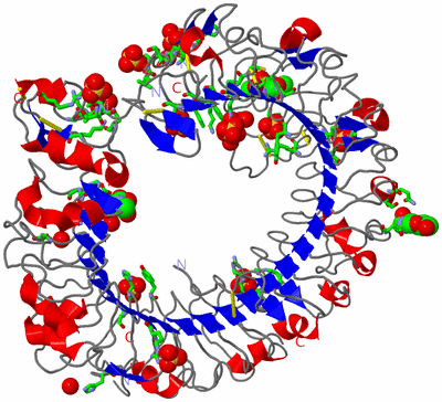 Image Asym./Biol. Unit - sites