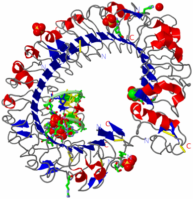 Image Asym./Biol. Unit - sites