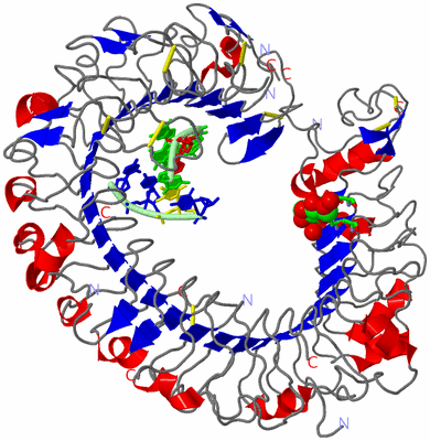 Image Asym./Biol. Unit - sites