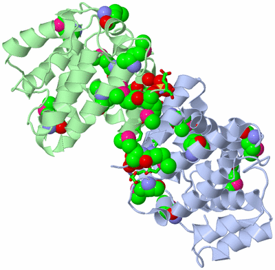 Image Asym./Biol. Unit - sites