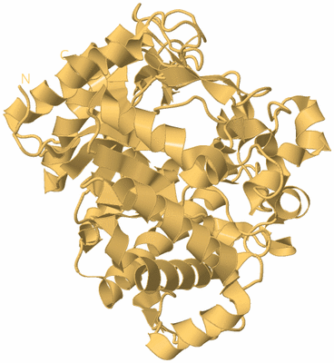 Image Biological Unit 7