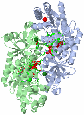 Image Asym./Biol. Unit - sites