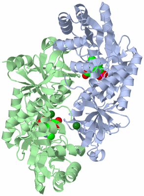 Image Asym./Biol. Unit