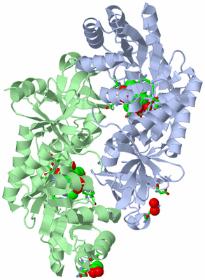 Image Asym./Biol. Unit - sites