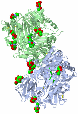 Image Asym./Biol. Unit