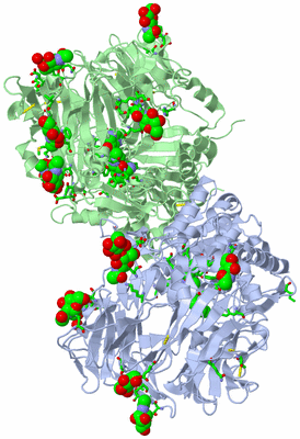 Image Asym./Biol. Unit - sites