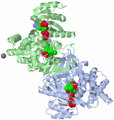 Image Asym./Biol. Unit