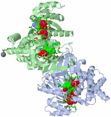 Image Asym./Biol. Unit - sites